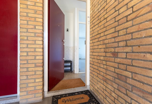 Medium property photo - Mozartstraat 209, 2324 XT Leiden